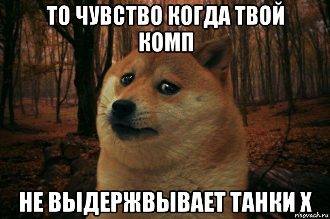 то чувство когда твой комп не выдержвывает танки x, Мем SAD DOGE