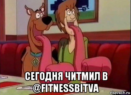  сегодня читмил в @fitnessbitva, Мем Скуби ду