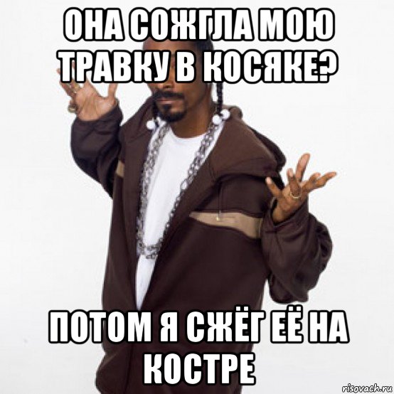 Снуп дог др. Снупп Догг мес. Снуп дог мемы. Снуп дог прикол. Снуп дог меме.