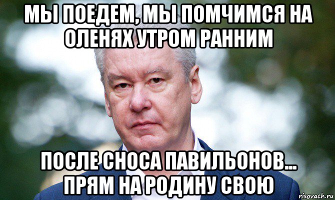 Мы поедем мы помчимся. Мы поедем мы помчимся на оленях. Мы помчимся утром ранним. Мы поедем мы помчимся на оленях утром ранним Собянин. Мы поедем мы помчимся на олен.