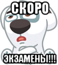 скоро экзамены!!!, Мем  Стикер вк