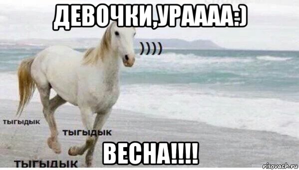 девочки,ураааа:) весна!!!!, Мем   Тыгыдык