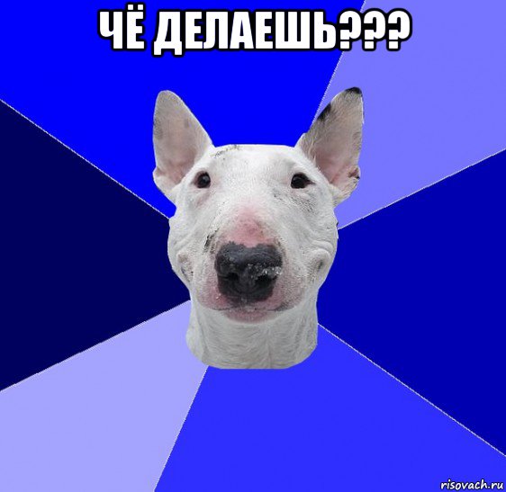 чё делаешь??? 