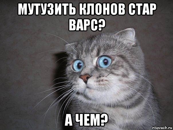 мутузить клонов стар варс? а чем?, Мем  удивлённый кот