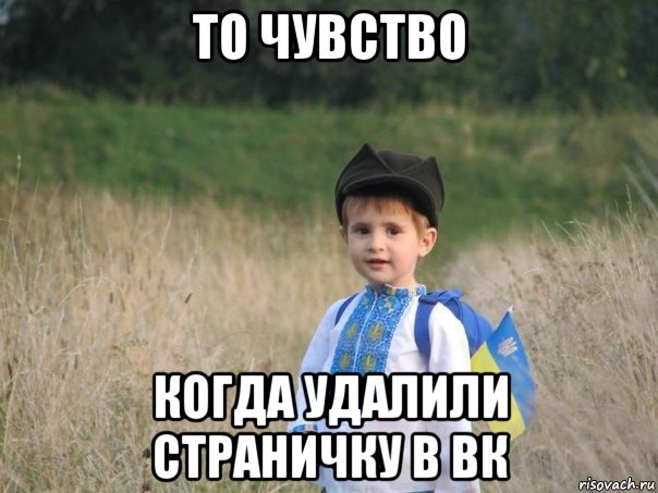 то чувство когда удалили страничку в вк, Мем Украина - Единая