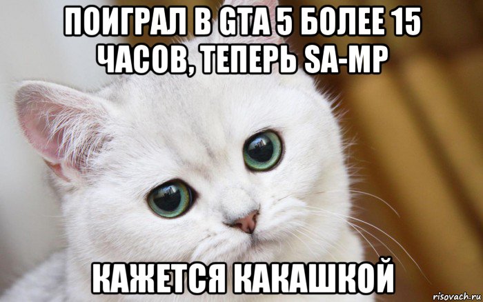 поиграл в gta 5 более 15 часов, теперь sa-mp кажется какашкой, Мем  В мире грустит один котик