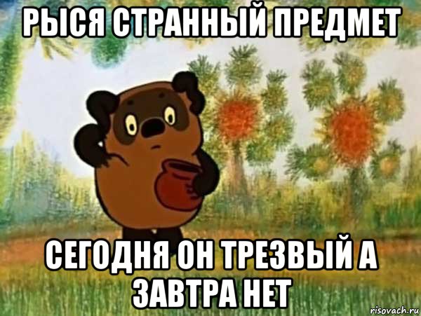 рыся странный предмет сегодня он трезвый а завтра нет, Мем Винни пух чешет затылок