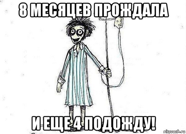 8 месяцев прождала и еще 4 подожду!, Мем  зато я сдал