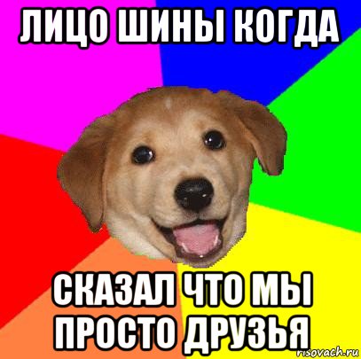 лицо шины когда сказал что мы просто друзья, Мем Advice Dog