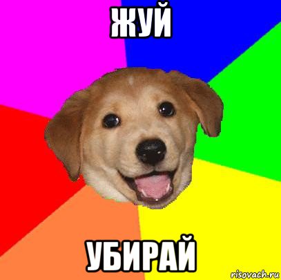 жуй убирай, Мем Advice Dog