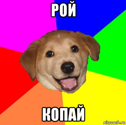 рой копай, Мем Advice Dog