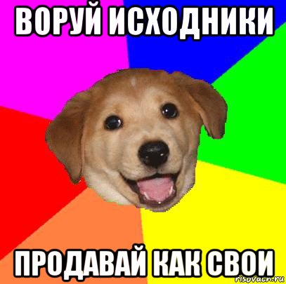 воруй исходники продавай как свои, Мем Advice Dog