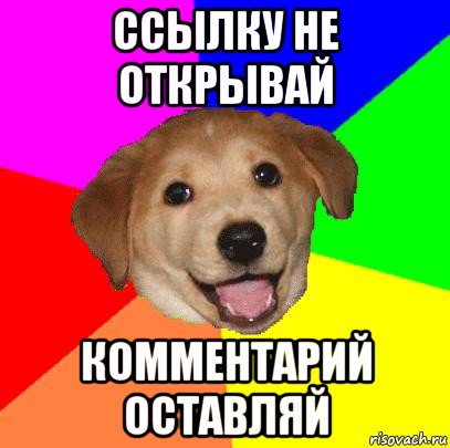 ссылку не открывай комментарий оставляй, Мем Advice Dog