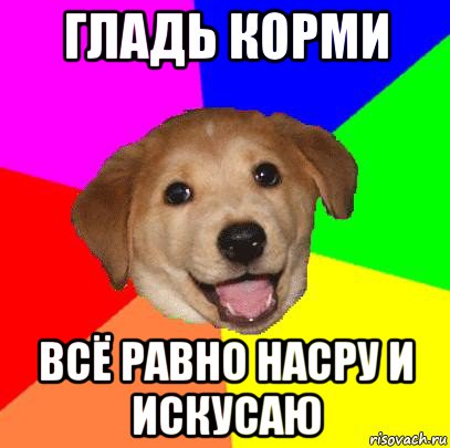 гладь корми всё равно насру и искусаю, Мем Advice Dog