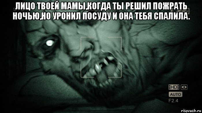 лицо твоей мамы,когда ты решил пожрать ночью,но уронил посуду и она тебя спалила. , Мем Аутласт