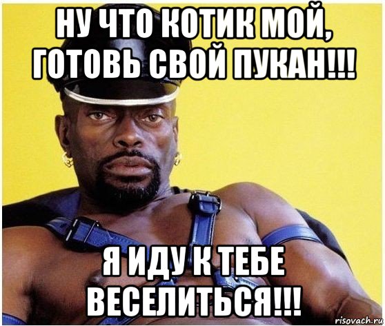 ну что котик мой, готовь свой пукан!!! я иду к тебе веселиться!!!, Мем Черный властелин