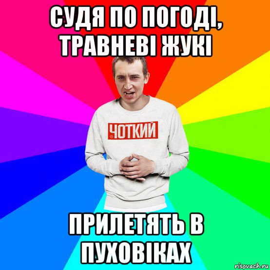 судя по погоді, травневі жукі прилетять в пуховіках, Мем Чоткий