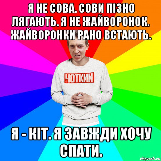 я не сова. сови пізно лягають. я не жайворонок. жайворонки рано встають. я - кіт. я завжди хочу спати.