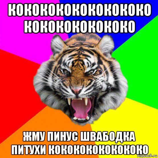 кококококококококо кококококококо жму пинус швабодка питухи кокококококококо, Мем  ДЕРЗКИЙ ТИГР