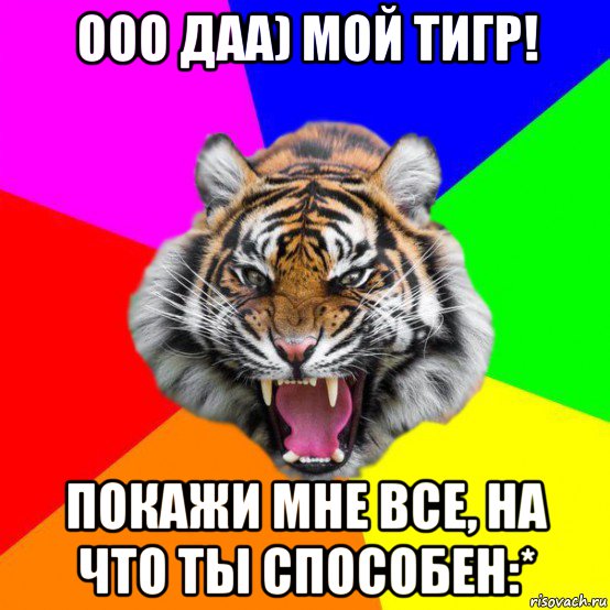 Мой тигр