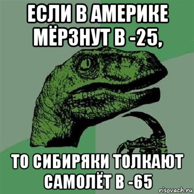 если в америке мёрзнут в -25, то сибиряки толкают самолёт в -65, Мем Филосораптор