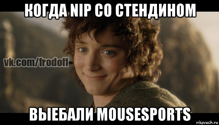 когда nip со стендином выебали mousesports, Мем  Фродо