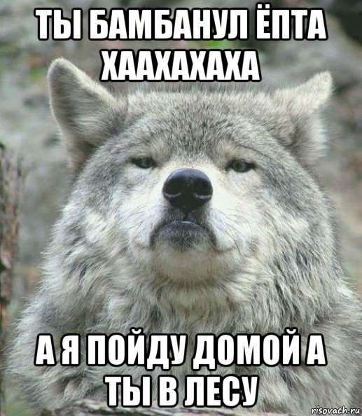 ты бамбанул ёпта хаахахаха а я пойду домой а ты в лесу, Мем    Гордый волк