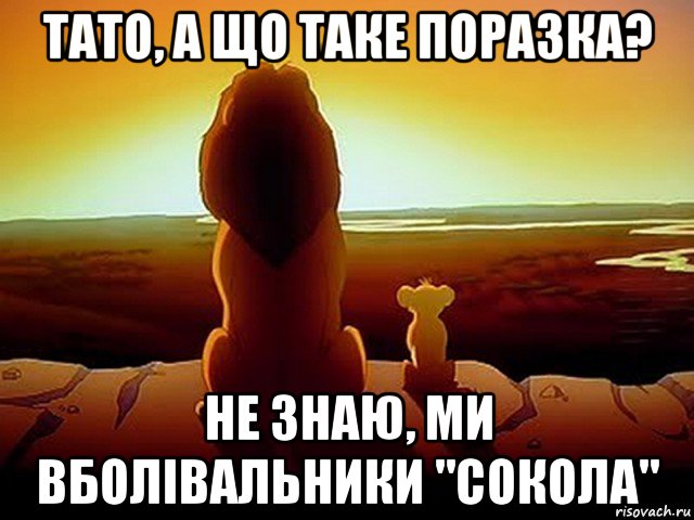 тато, а що таке поразка? не знаю, ми вболівальники "сокола", Мем  король лев