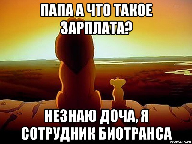 папа а что такое зарплата? незнаю доча, я сотрудник биотранса, Мем  король лев