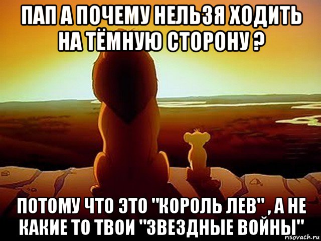 пап а почему нельзя ходить на тёмную сторону ? потому что это "король лев" , а не какие то твои "звездные войны", Мем  король лев