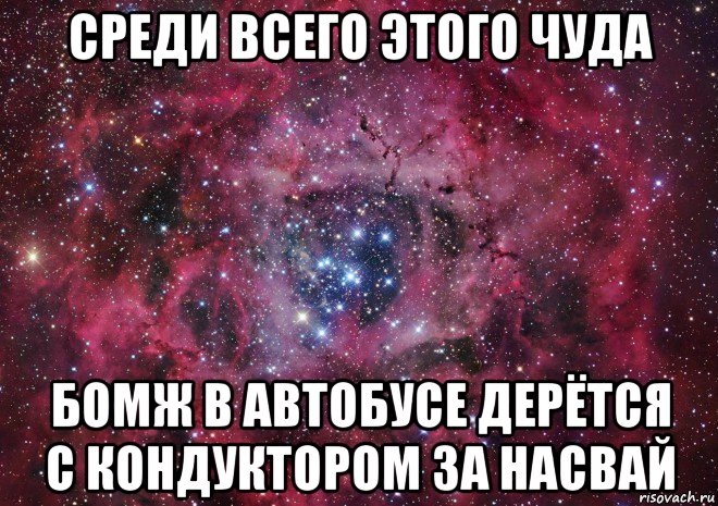 среди всего этого чуда бомж в автобусе дерётся с кондуктором за насвай, Мем Ты просто космос