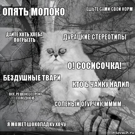 Опять молоко Кто б чайку налил Дурацкие стереотипы Я может шоколадку хочу Бездушные твари Ешьте сами свой корм Соленый огурчик,мммм... Дайте хоть хлеба погрызть Всё, решено,устрою голодовку О! Сосисочка!, Комикс  кот безысходность