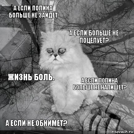 А если Полина больше не зайдёт А если Полина больше не напишет? А если больше не поцелует? А если не обнимет? Жизнь боль.     , Комикс  кот безысходность