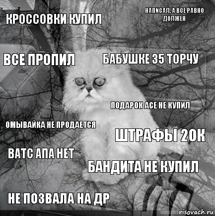 кроссовки купил штрафы 20к бабушке 35 торчу не позвала на др омывайка не продается написал, а все равно должен бандита не купил все пропил ватс апа нет подарок асе не купил, Комикс  кот безысходность