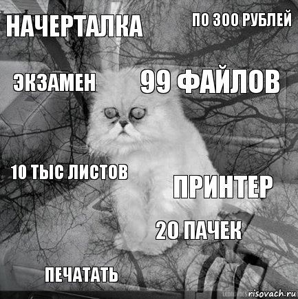 начерталка принтер 99 файлов печатать 10 тыс листов по 300 рублей 20 пачек экзамен  , Комикс  кот безысходность