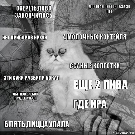 Охереть,пиво закончилось Еще 2 пива 4 молочных коктейля Блять,пицца упала Эти суки разбили бокал Дорогая,сектор газа 30 лет Где Ира Нет приборов нихуя Лытков заебал раздеваться Ссаные колготки, Комикс  кот безысходность