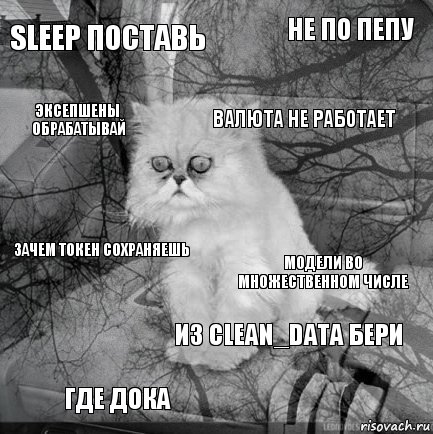 sleep поставь модели во множественном числе валюта не работает где дока зачем токен сохраняешь не по пепу из clean_data бери эксепшены обрабатывай  , Комикс  кот безысходность