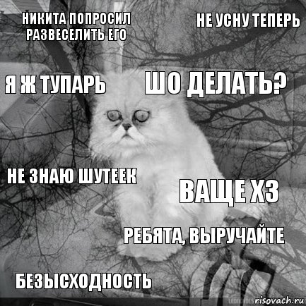 Никита попросил развеселить его ваще хз шо делать? безысходность не знаю шутеек не усну теперь ребята, выручайте Я ж тупарь  , Комикс  кот безысходность