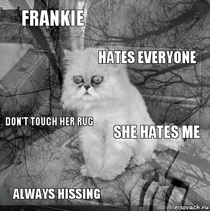 Frankie she hates me hates everyone always hissing don't touch her rug     , Комикс  кот безысходность