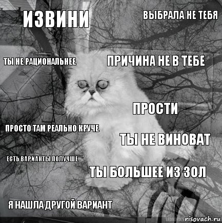 извини ты не виноват причина не в тебе я нашла другой вариант просто там реально круче выбрала не тебя ты большее из зол ты не рациональнее есть варианты получше прости, Комикс  кот безысходность