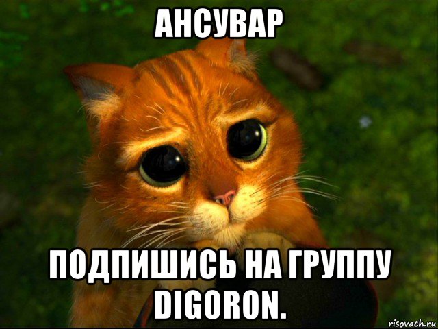 ансувар подпишись на группу digoron., Мем кот из шрека