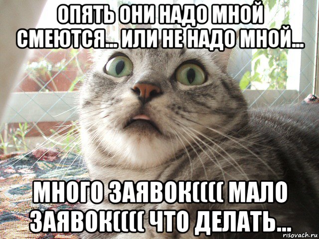 Не надо видео. Надомной или надо мной. Надо мной смеются. Кошки смеялись надо мной. Они смеялись надо мной.