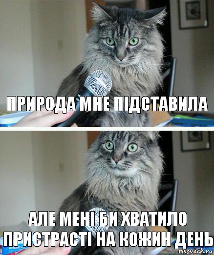 природа мне підставила але мені би хватило пристрасті на кожин день, Комикс  кот с микрофоном