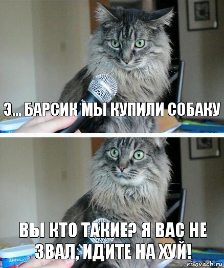 Э... Барсик мы купили собаку Вы кто такие? Я вас не звал, идите на хуй!, Комикс  кот с микрофоном