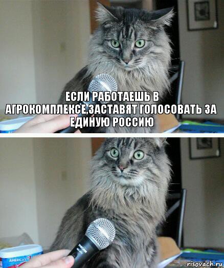 Если работаешь в агрокомплексе,заставят голосовать за единую россию , Комикс  кот с микрофоном