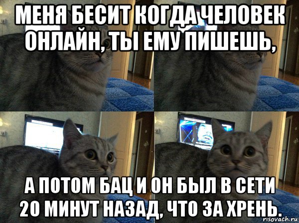 20 минут назад. Когда ты в сети и не пишешь. Бесит когда в сети и не отвечают. Люди в сети но не пишет. Бесит когда онлайн и не пишет.