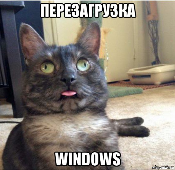 перезагрузка windows, Мем   Кот завис