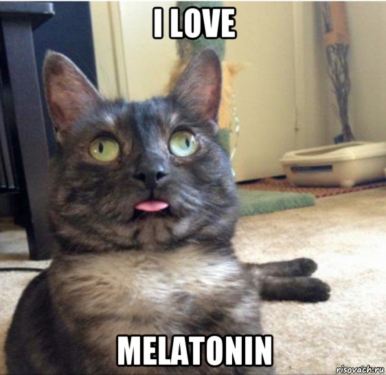 i love melatonin, Мем   Кот завис