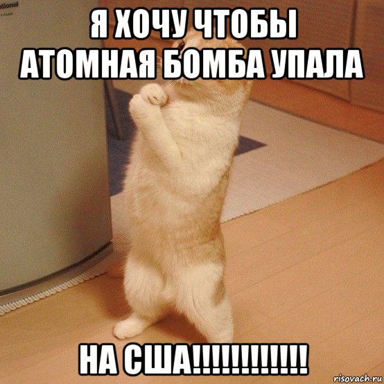 я хочу чтобы атомная бомба упала на сша!!!!!!!!!!!!, Мем  котэ молится