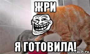 жри я готовила!, Мем Котэйко